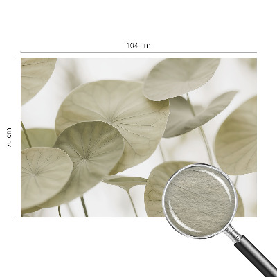 Wall mural with a natural, elegant design