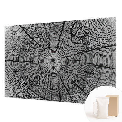 Modern wall mural for living room with a forest harmony design