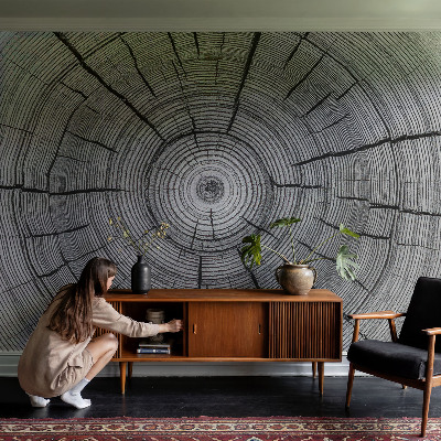 Modern wall mural for living room with a forest harmony design