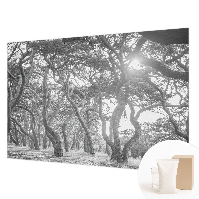 Modern wall mural for bedroom with an atmospheric forest motif