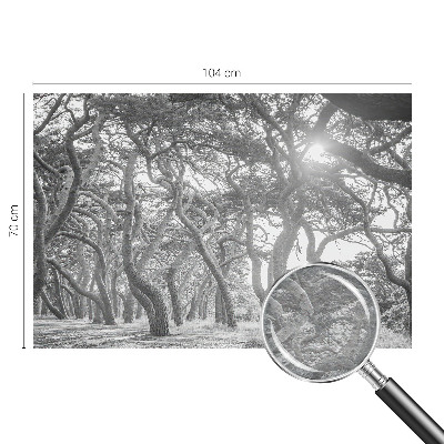 Modern wall mural for bedroom with an atmospheric forest motif