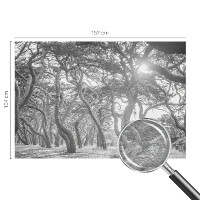 Modern wall mural for bedroom with an atmospheric forest motif