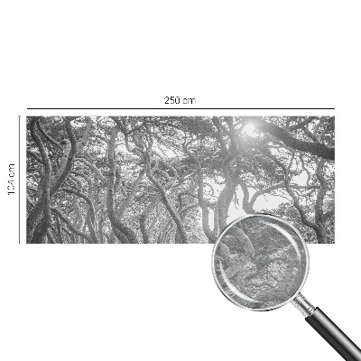 Modern wall mural for bedroom with an atmospheric forest motif