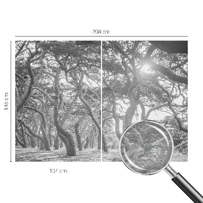 Modern wall mural for bedroom with an atmospheric forest motif
