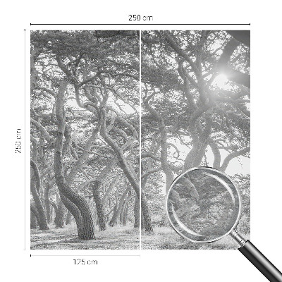Modern wall mural for bedroom with an atmospheric forest motif