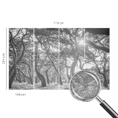 Modern wall mural for bedroom with an atmospheric forest motif