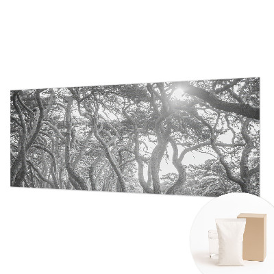Modern wall mural for bedroom with an atmospheric forest motif