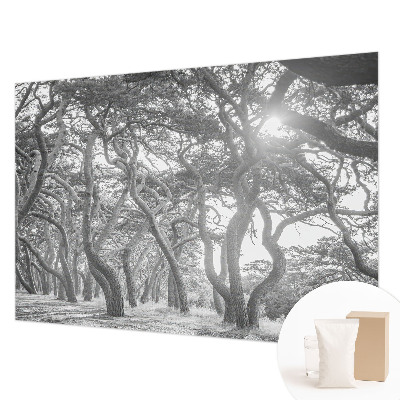 Modern wall mural for bedroom with an atmospheric forest motif