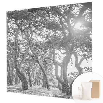 Modern wall mural for bedroom with an atmospheric forest motif