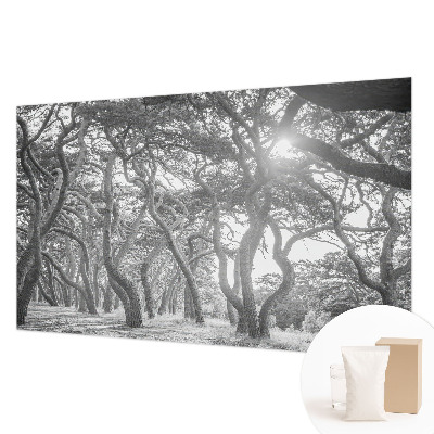 Modern wall mural for bedroom with an atmospheric forest motif