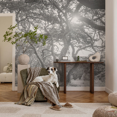 Modern wall mural for bedroom with an atmospheric forest motif
