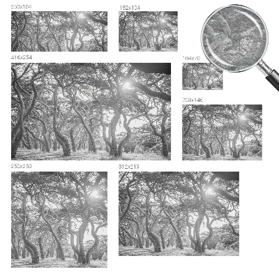 Modern wall mural for bedroom with an atmospheric forest motif