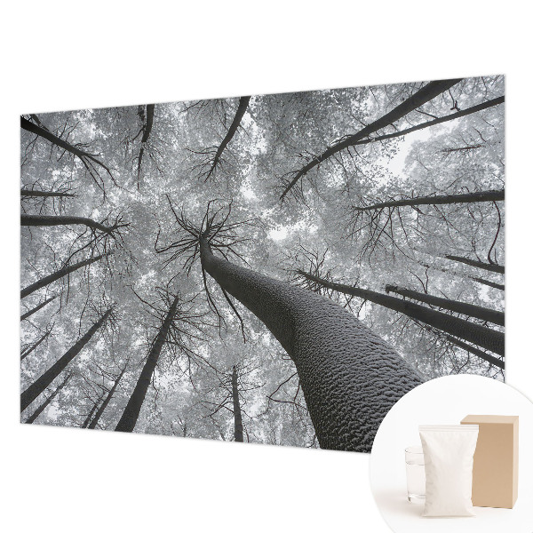 Premium wall mural for bedroom with a winter landscape design