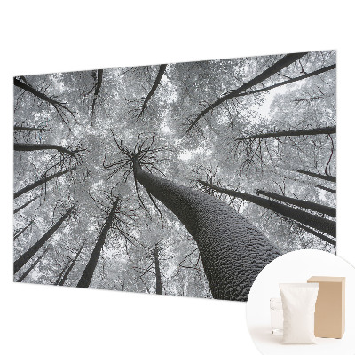 Premium wall mural for bedroom with a winter landscape design