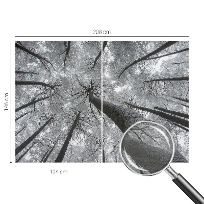 Premium wall mural for bedroom Winter landscape