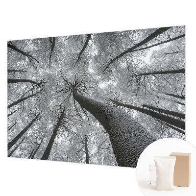 Premium wall mural for bedroom with a winter landscape design