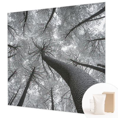 Premium wall mural for bedroom with a winter landscape design