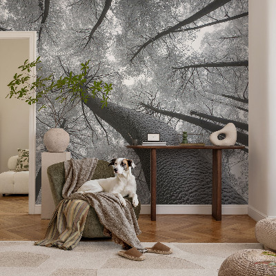 Premium wall mural for bedroom with a winter landscape design