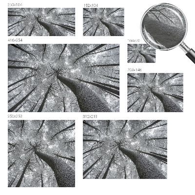 Premium wall mural for bedroom Winter landscape