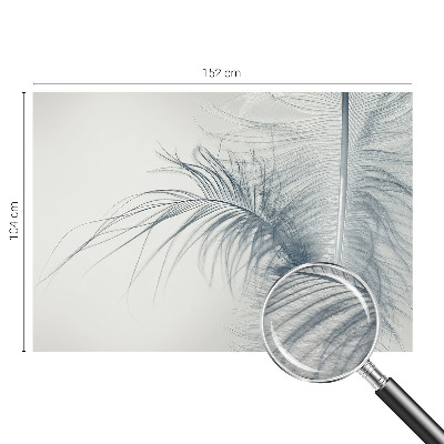 Photo wall mural with a delicate feather design