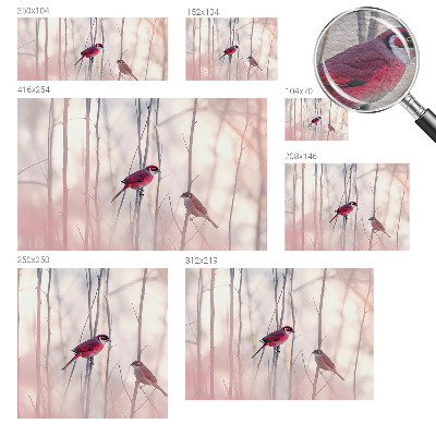Photo wall mural Bird couple