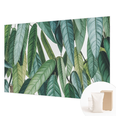 Bedroom wall mural wallpaper with a natural leaves design
