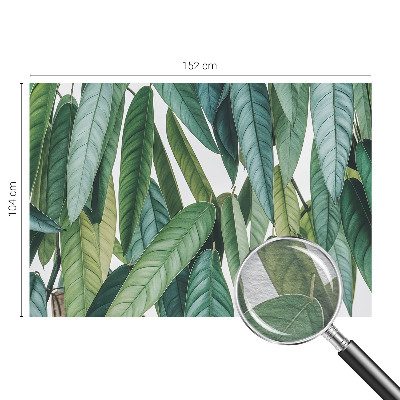 Bedroom wall mural wallpaper with a natural leaves design