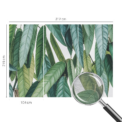 Bedroom wall mural wallpaper with a natural leaves design