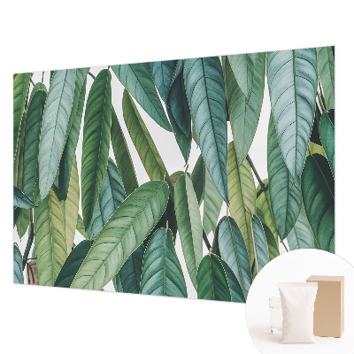 Bedroom wall mural wallpaper with a natural leaves design