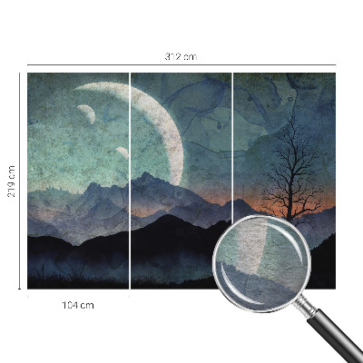 Wall mural featuring a night landscape