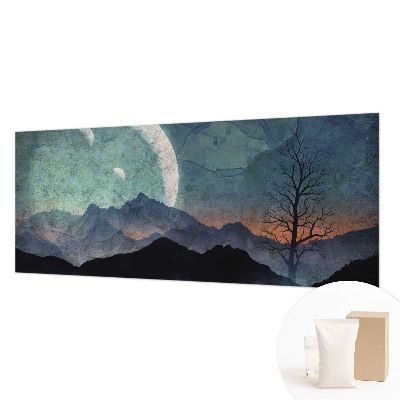 Wall mural featuring a night landscape