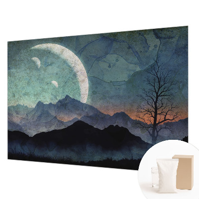 Wall mural Night landscape