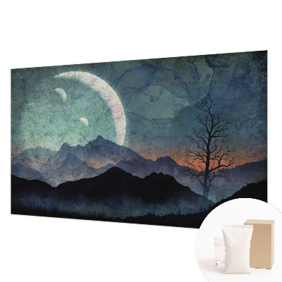 Wall mural featuring a night landscape