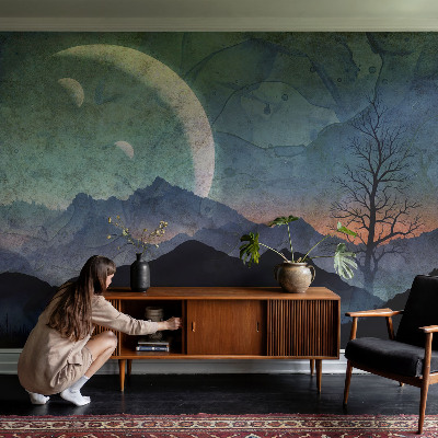 Wall mural featuring a night landscape