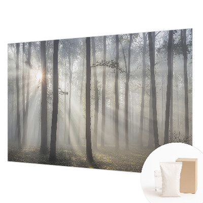Wallpaper mural for living room with an ethereal forest design