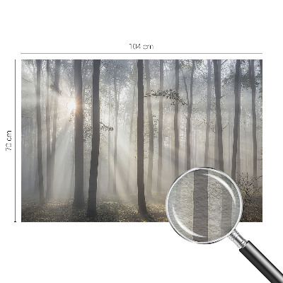 Wallpaper mural for living room with an ethereal forest design