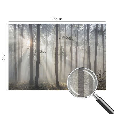 Wallpaper mural for living room with an ethereal forest design