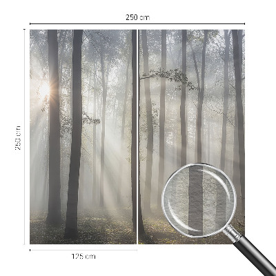Wallpaper mural for living room with an ethereal forest design