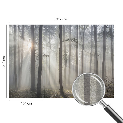 Wallpaper mural for living room with an ethereal forest design