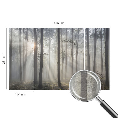 Wallpaper mural for living room with an ethereal forest design
