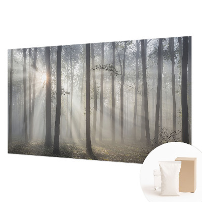 Wallpaper mural for living room with an ethereal forest design