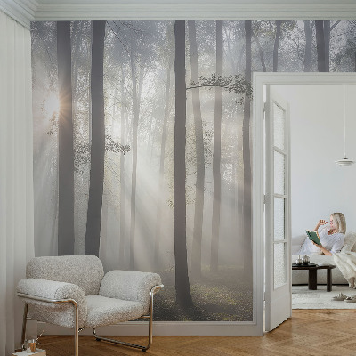 Wallpaper mural for living room Ethereal Forest