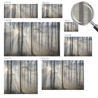 Wallpaper mural for living room with an ethereal forest design