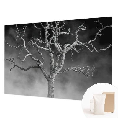 Non-woven wall mural with a misty tree design