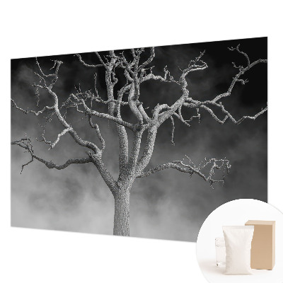 Non-woven wall mural with a misty tree design