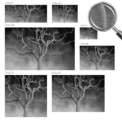Non-woven wall mural with a misty tree design