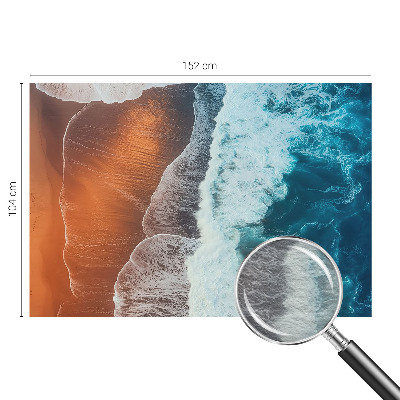 Photo wallpaper with a marine symbiosis motif