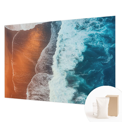 Photo wallpaper with a marine symbiosis motif