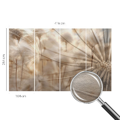 Photo wall mural Subtle dandelions