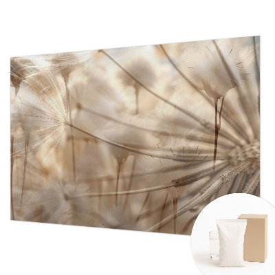 Photo wall mural Subtle dandelions